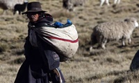 Aumentó la pobreza en Perú por primera vez en lo que va del siglo