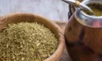 Uruguay: la próxima semana comenzará a venderse yerba mate con marihuana