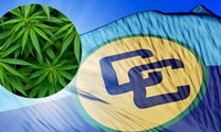 Caricom recomienda a sus miembros despenalizar la tenencia de marihuana